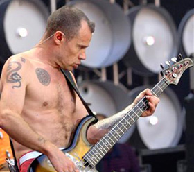 1205flea