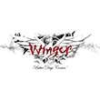 winger_2014