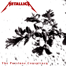 metallica_purslane