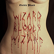 electricwizard2017_c