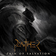 painofsalvation_110