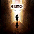 slowmesh_110