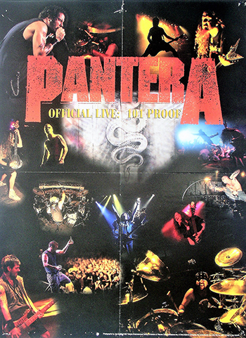 pantera_8