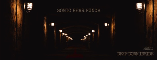1119_sonicbearpunch