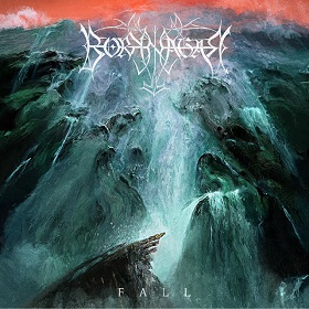 borknagar_c