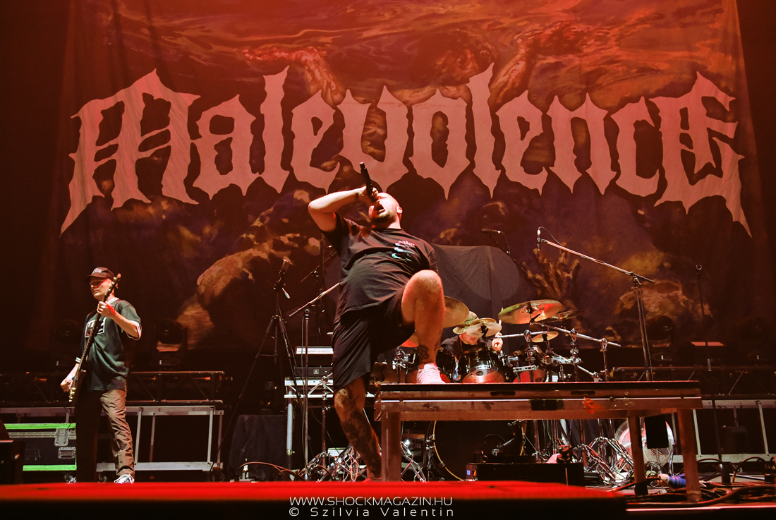 malevolence_k2024_01