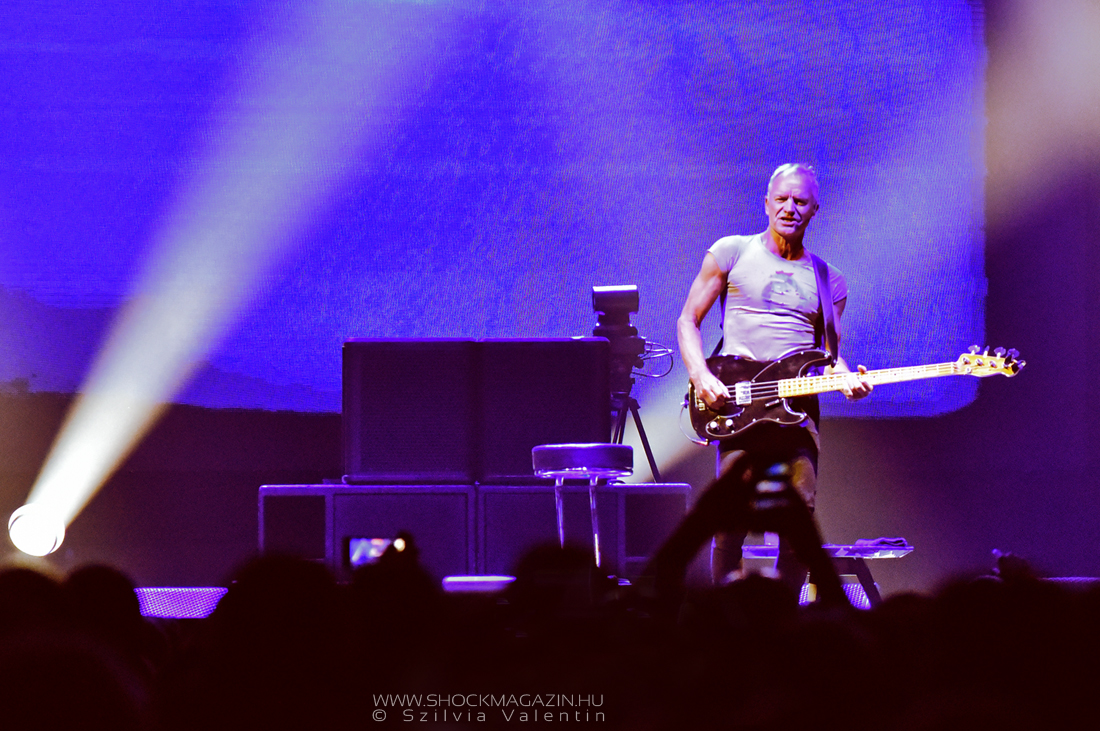 sting_k2024_01