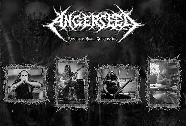 1103angerseed