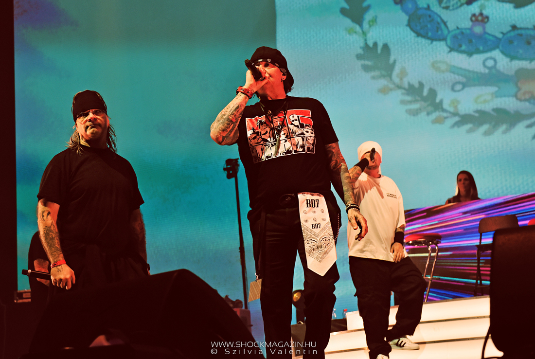 ganxsta_zolee_es_a_kartel_k2025_10