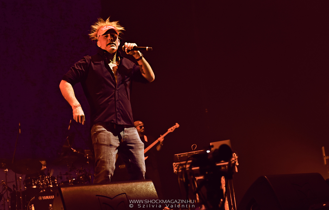 ganxsta_zolee_es_a_kartel_k2025_11