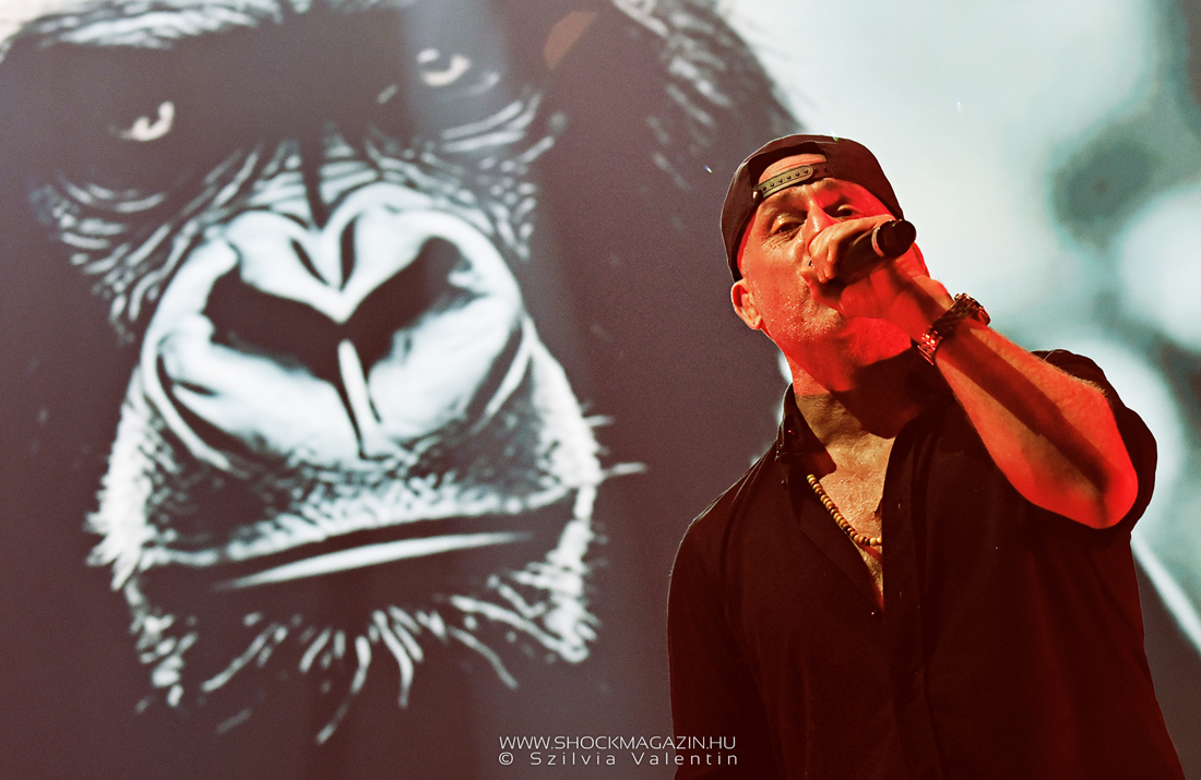 ganxsta_zolee_es_a_kartel_k2025_18