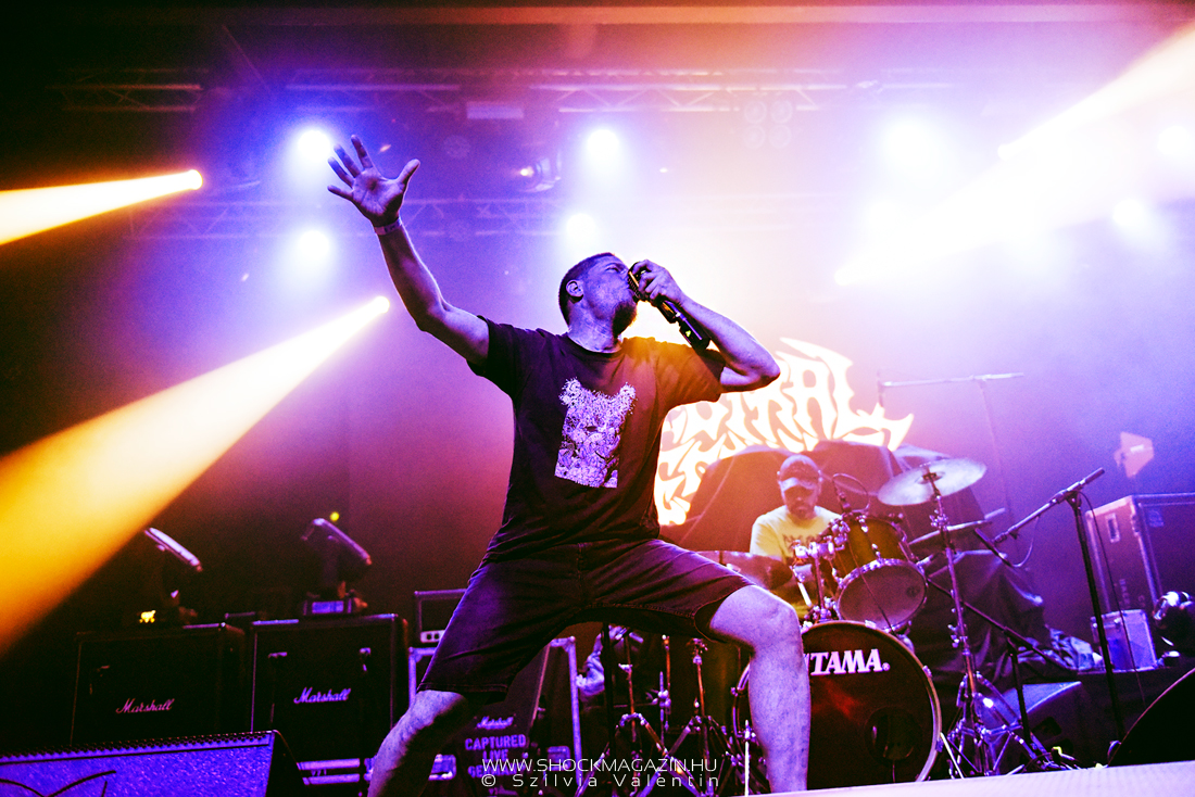 spectral_despair_k2025_01